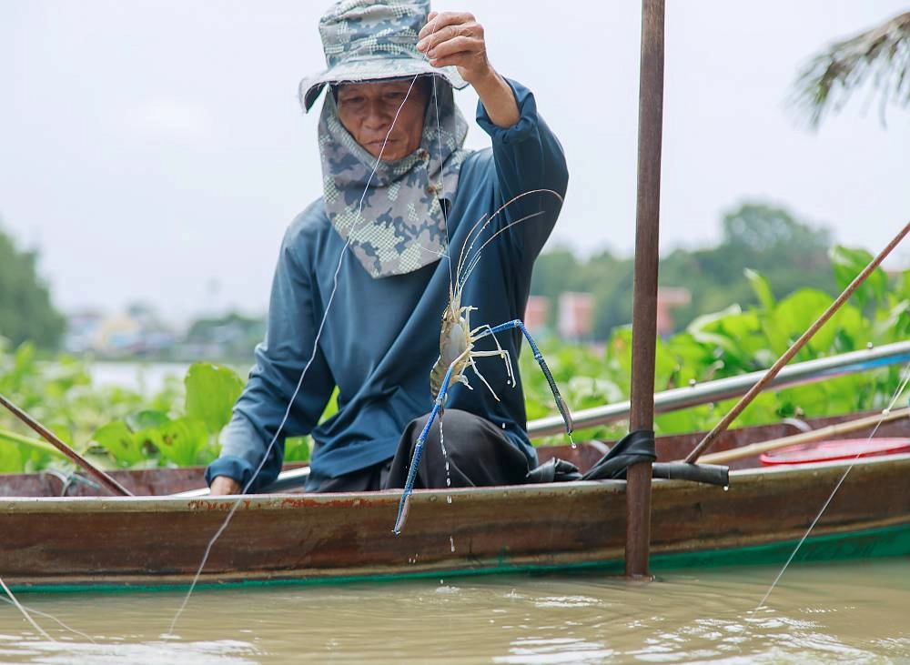 Tom Yum Kung